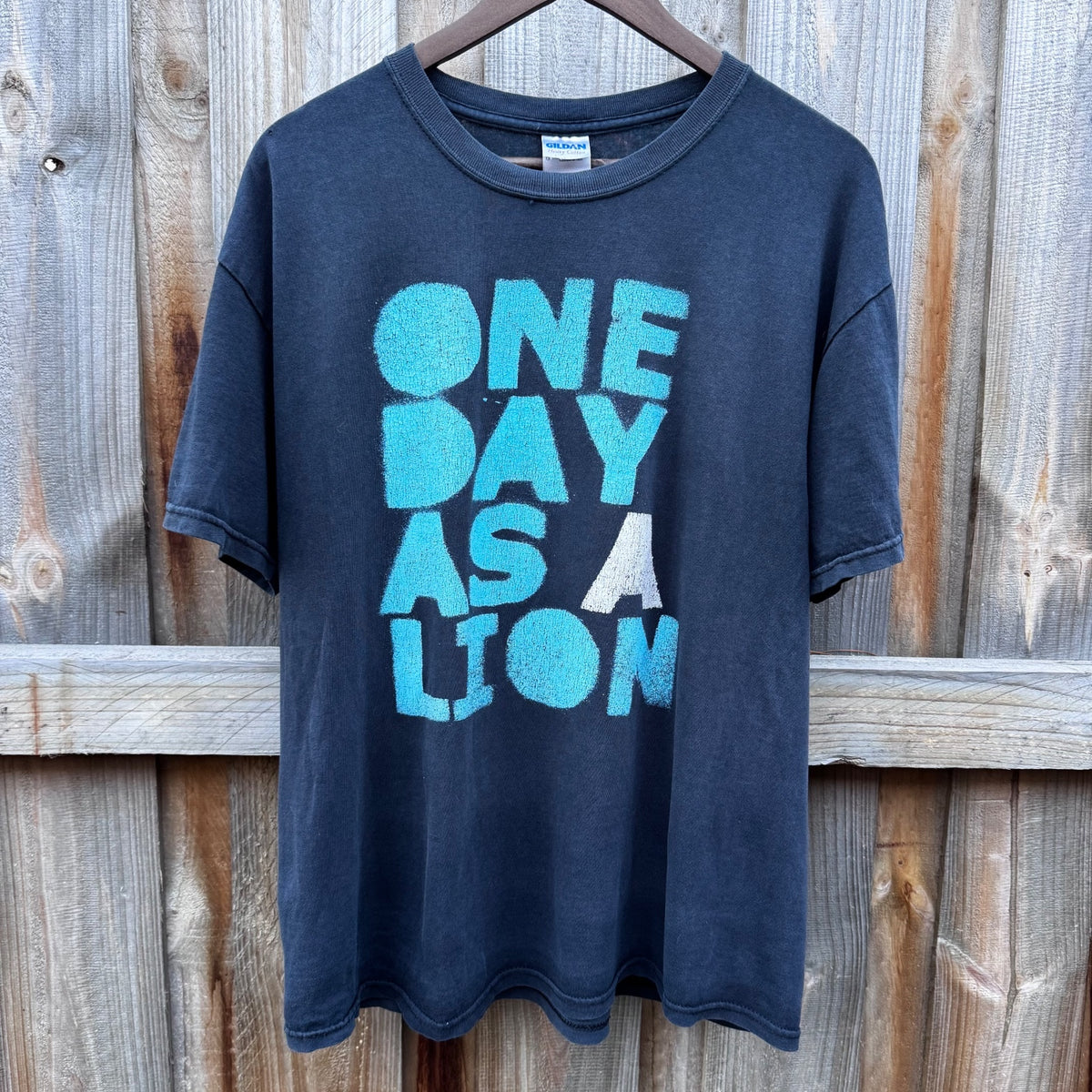 One Day As A Lion shirt
