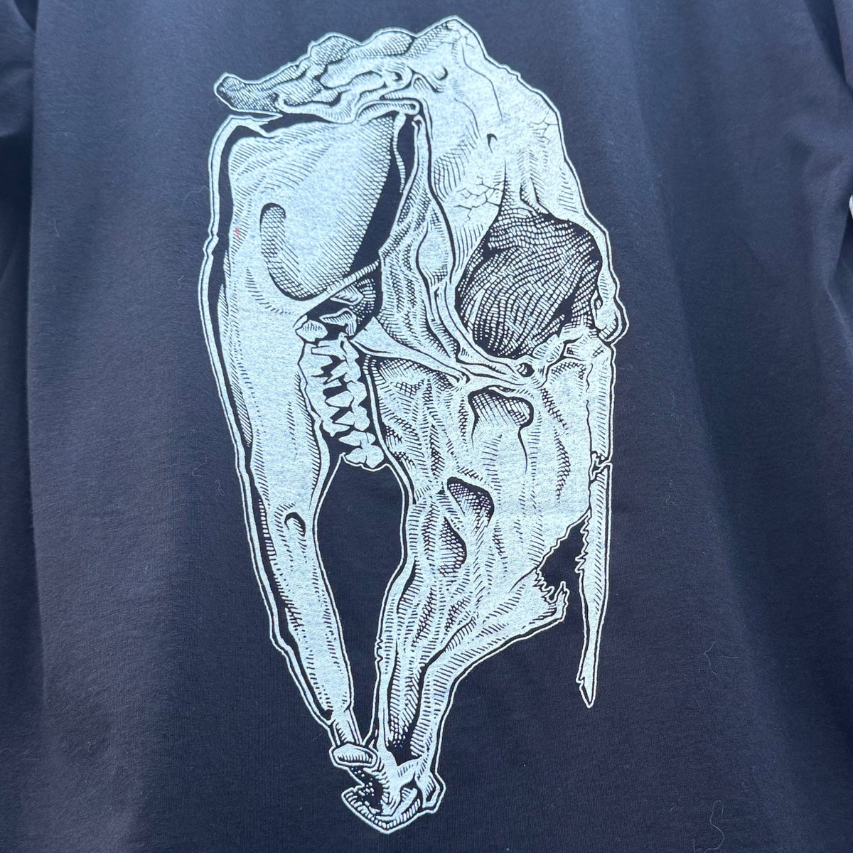 Dead Root shirt